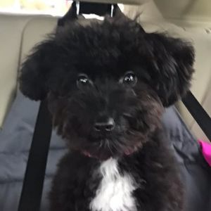 Meet your Posher, Mary